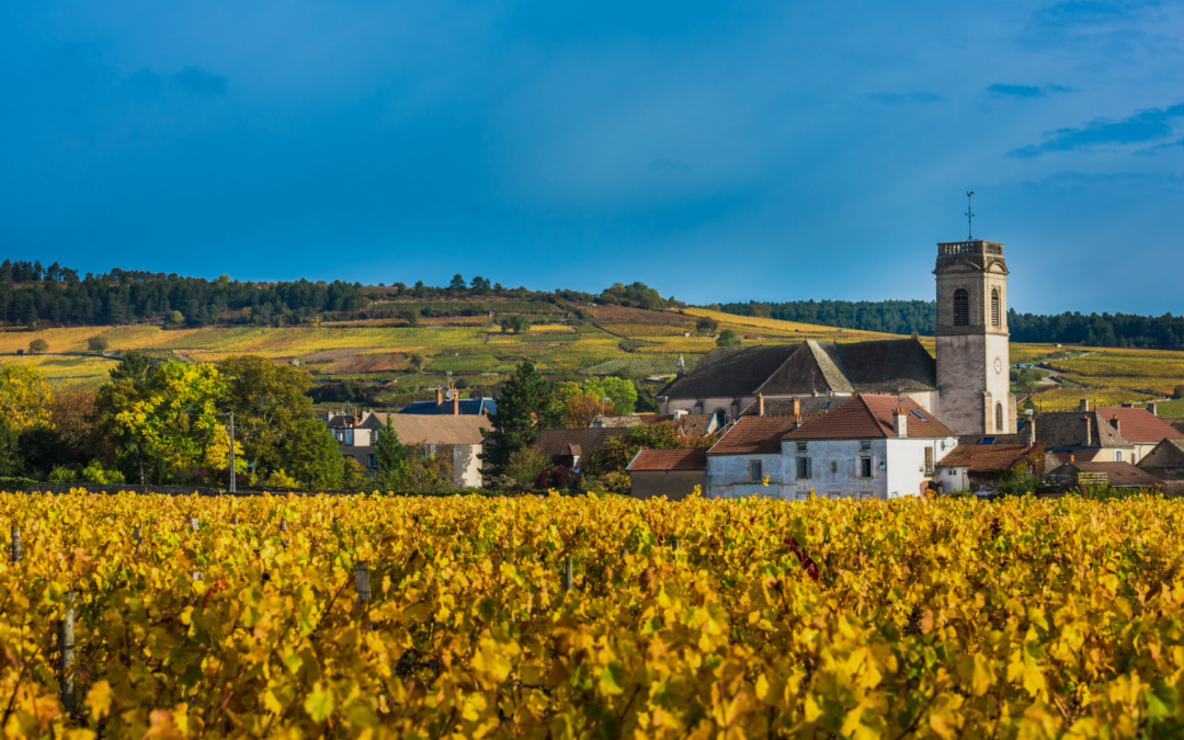 Séminaire à la campagne
